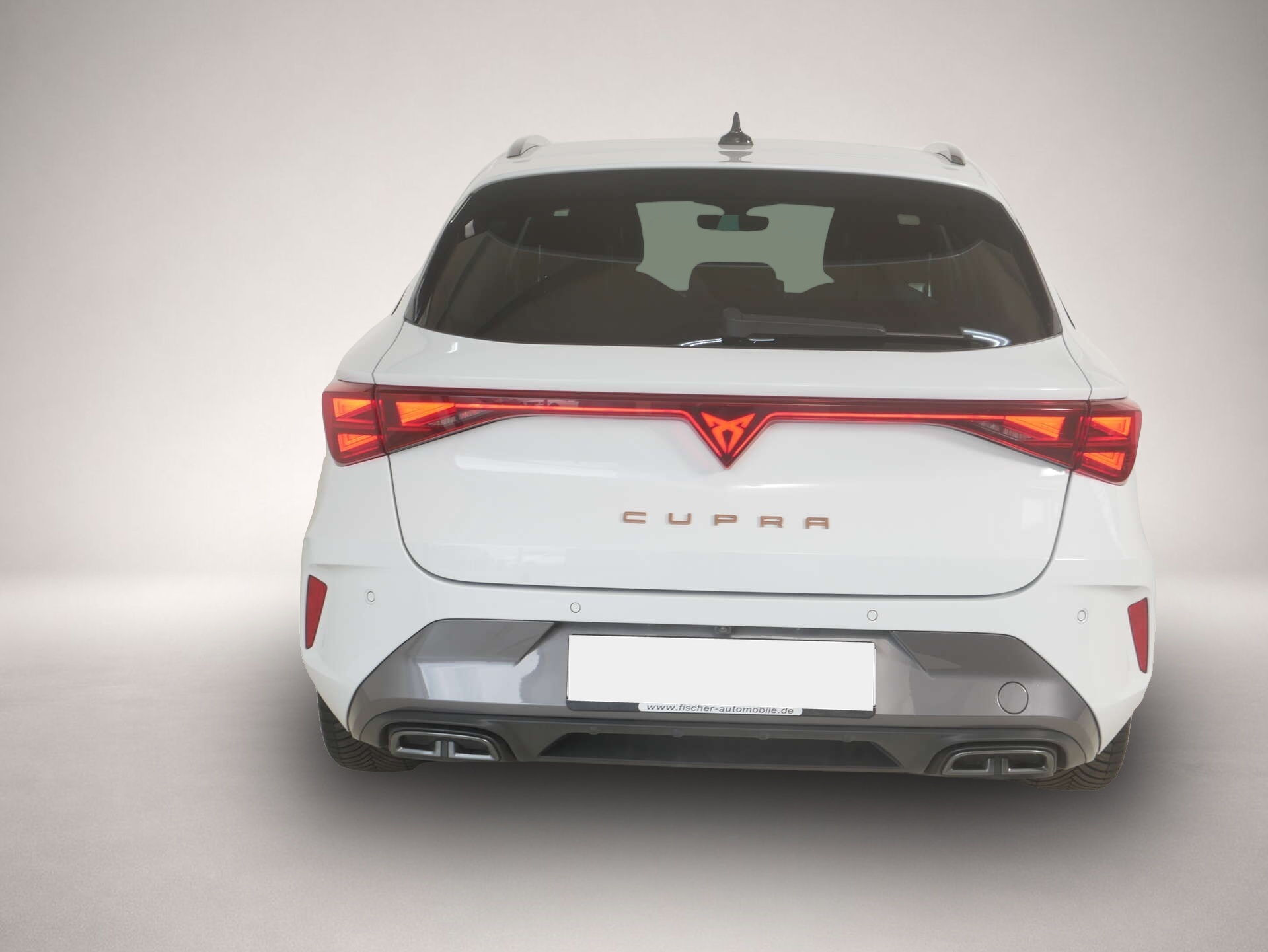 Bild 4 Cupra Leon Sportstourer 2.0 TDI