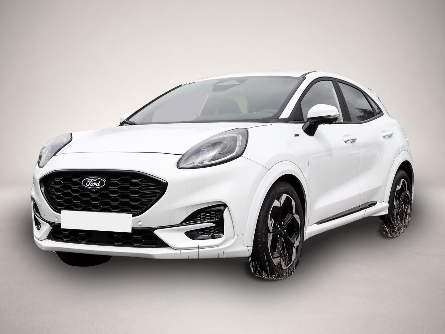 Bild Puma Ford