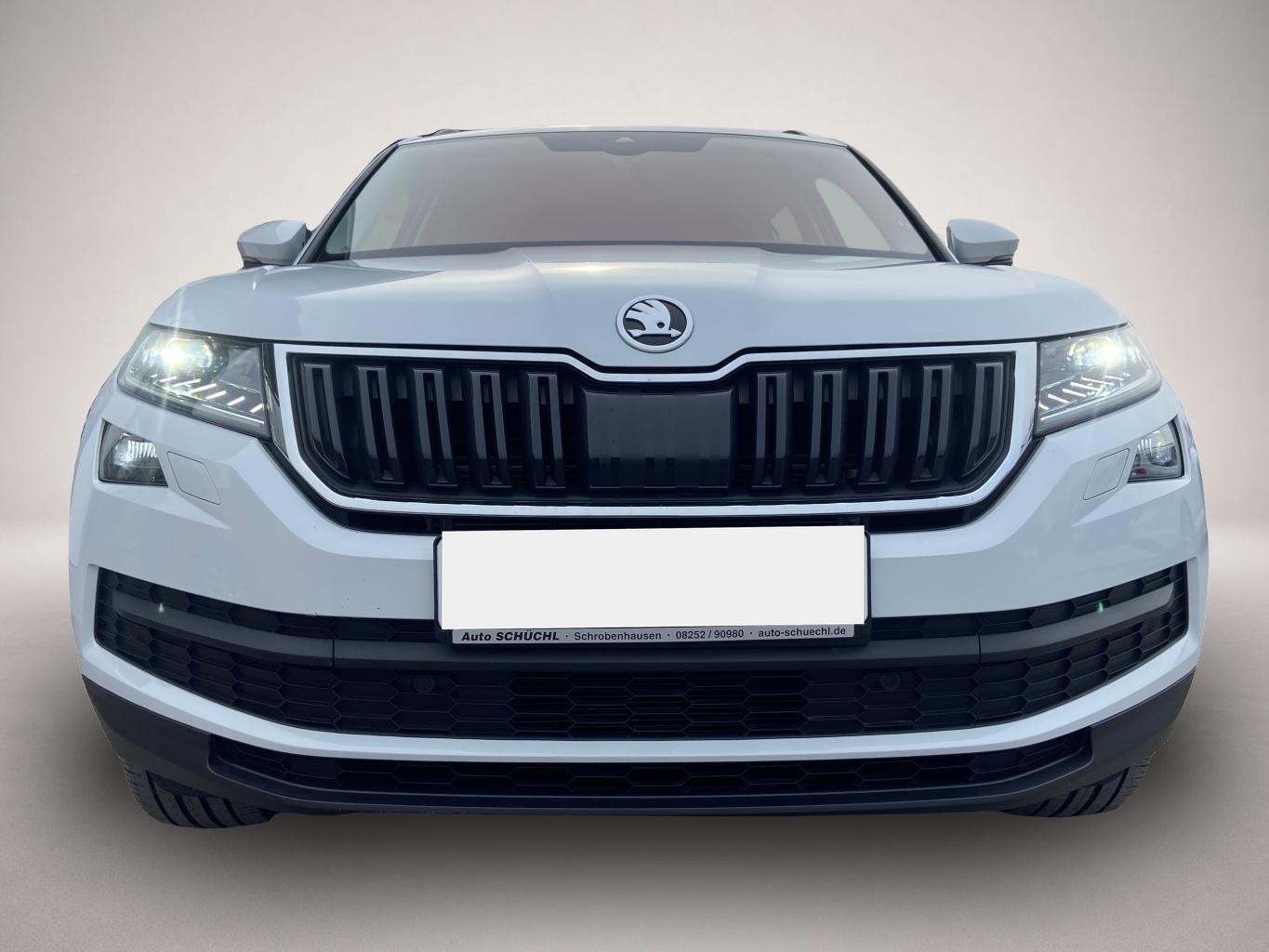 Bild 6 Skoda Kodiaq 2.0 TSI DSG 4x4 Clever 7-SITZER AHK+SMART