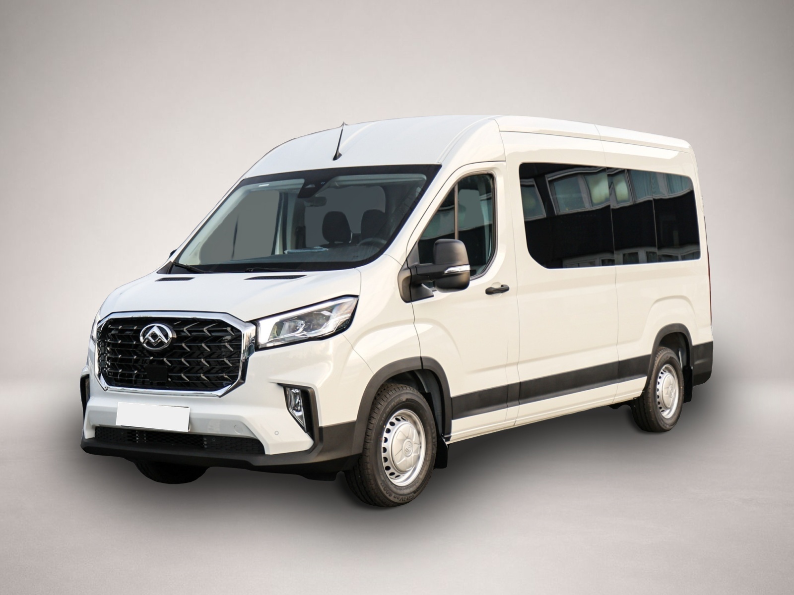 Bild 1 Maxus DELIVER 9