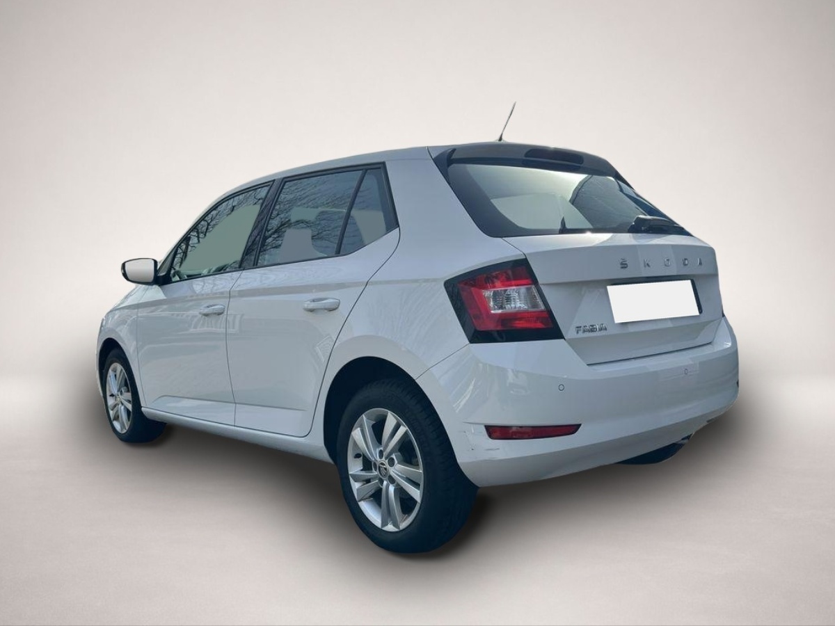 Bild 3 Skoda Fabia Carplay/SHZ/PDC/Bluetooth