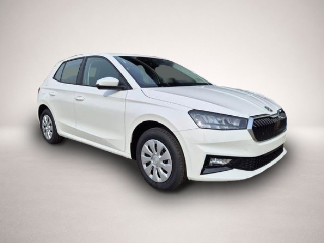 Fotografie 6 des Skoda Fabia 1.0 TSI 95PS Selection 5-türig Rückf.Kam.