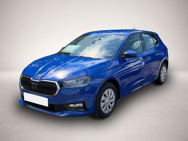 Bild 1 Skoda Fabia 1.0 Ambition PDC hinten,Kammera,SHZ.,