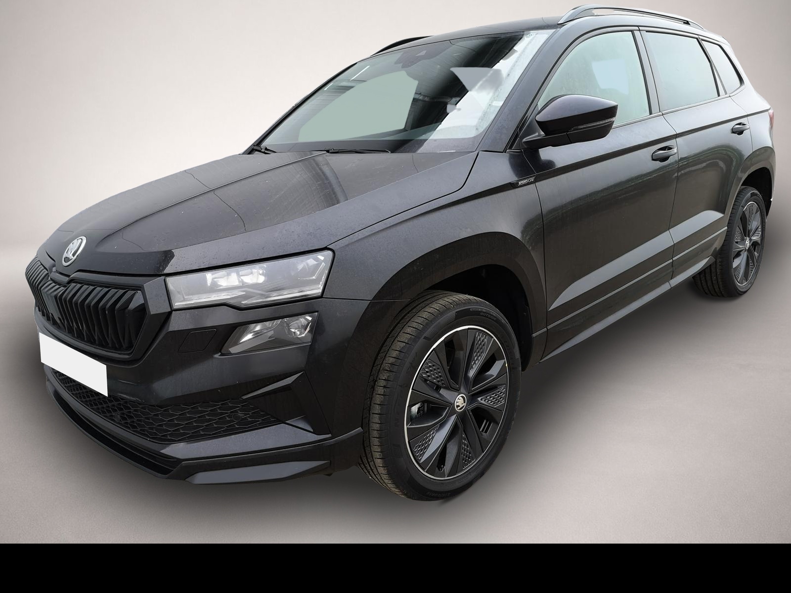 Bild Karoq Skoda