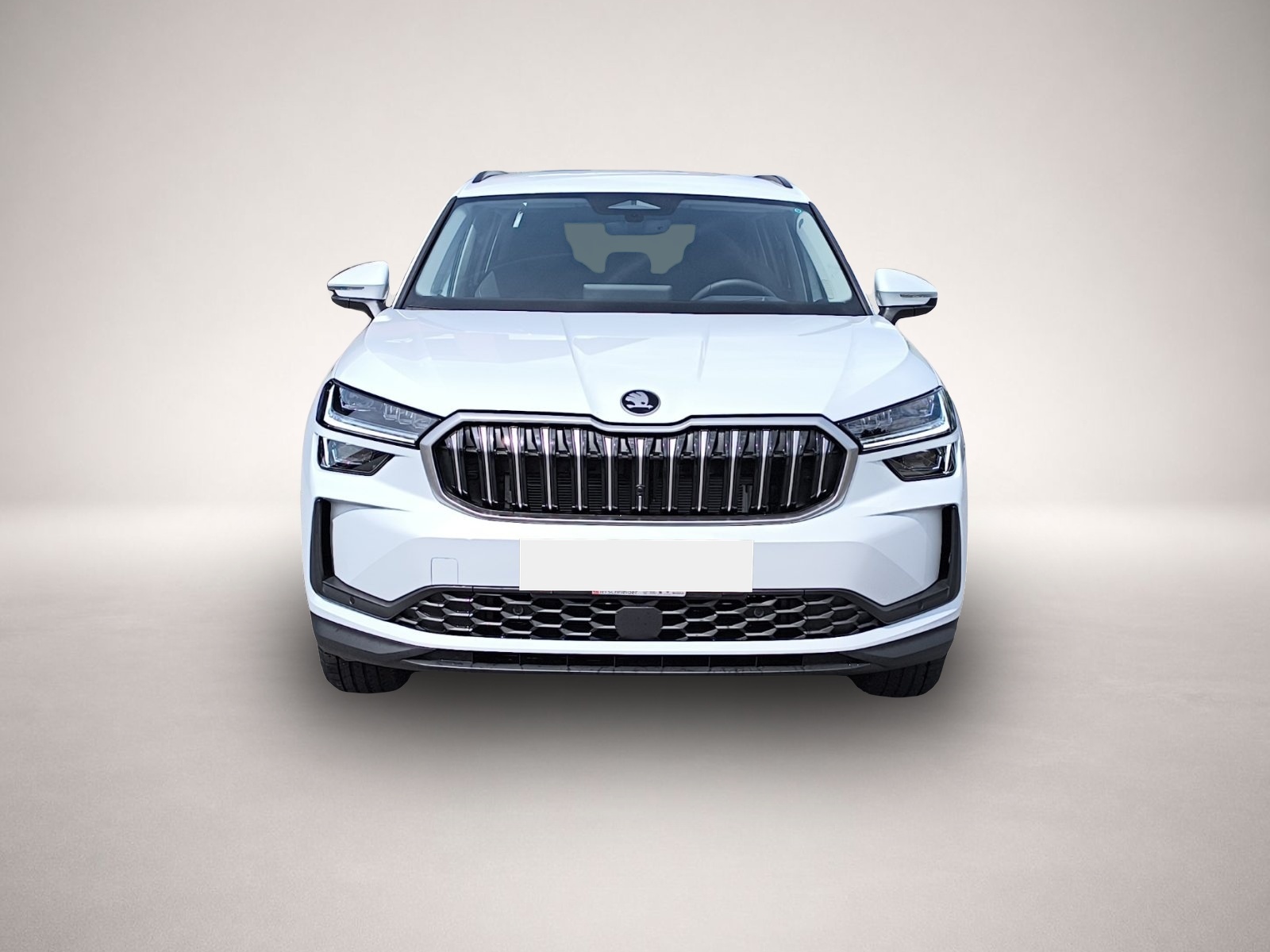 Bild 2 Skoda Kodiaq 2.0 TDI 4x4 DSG Selection AHK NAV RFK LED