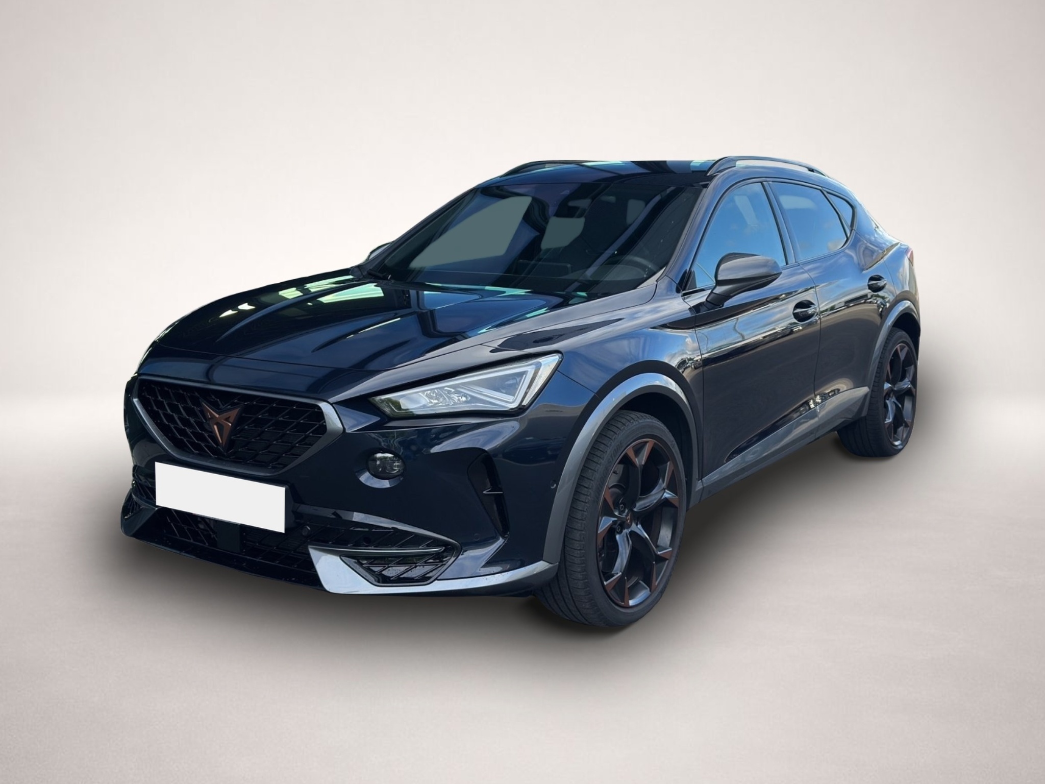 Fotografie Cupra Formentor 2.0 TSI DSG 4Drive VZ LED NAVI AHK SID