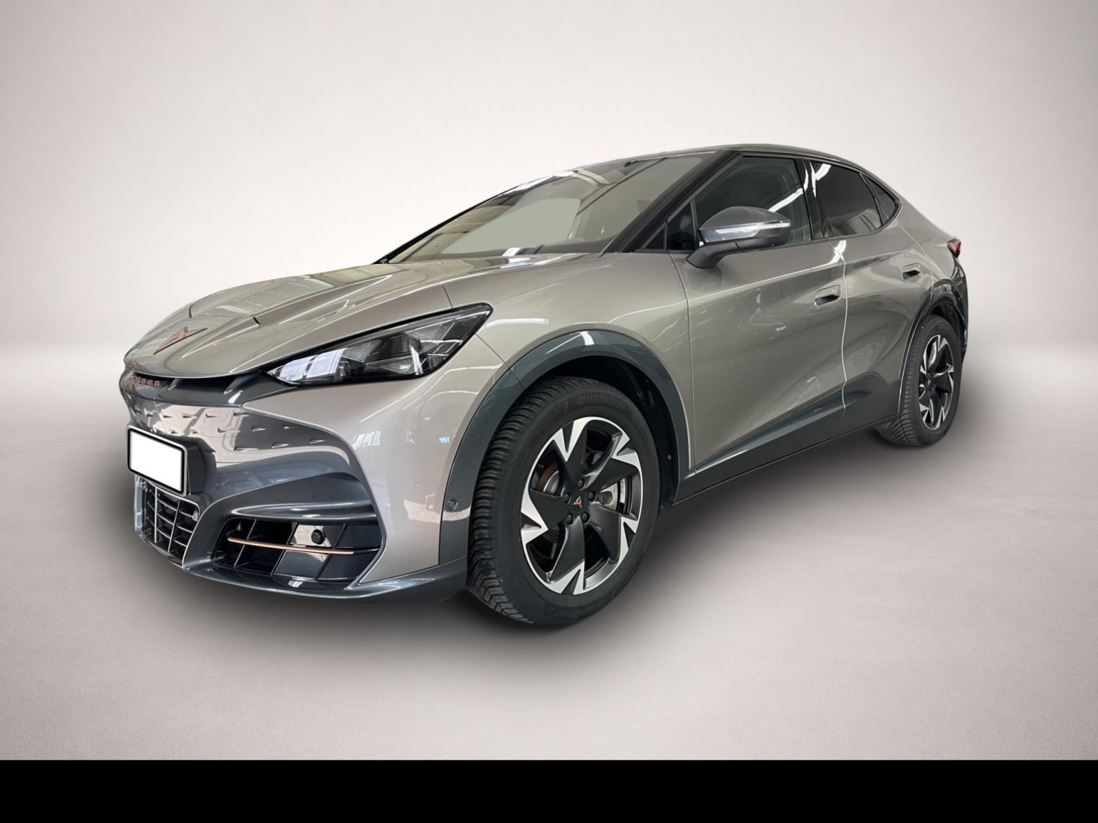 Bild Tavascan Cupra