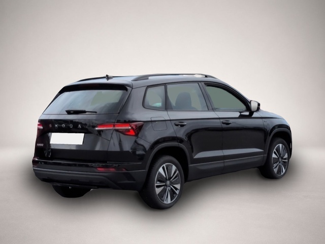 Bild 3 Skoda Karoq TOUR TDI*DSG StndHzg AHK ACC Alcantara SHZ