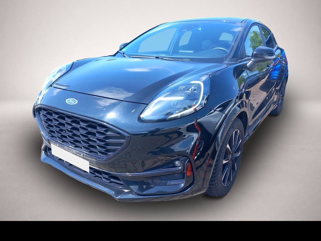 Bild Puma Ford