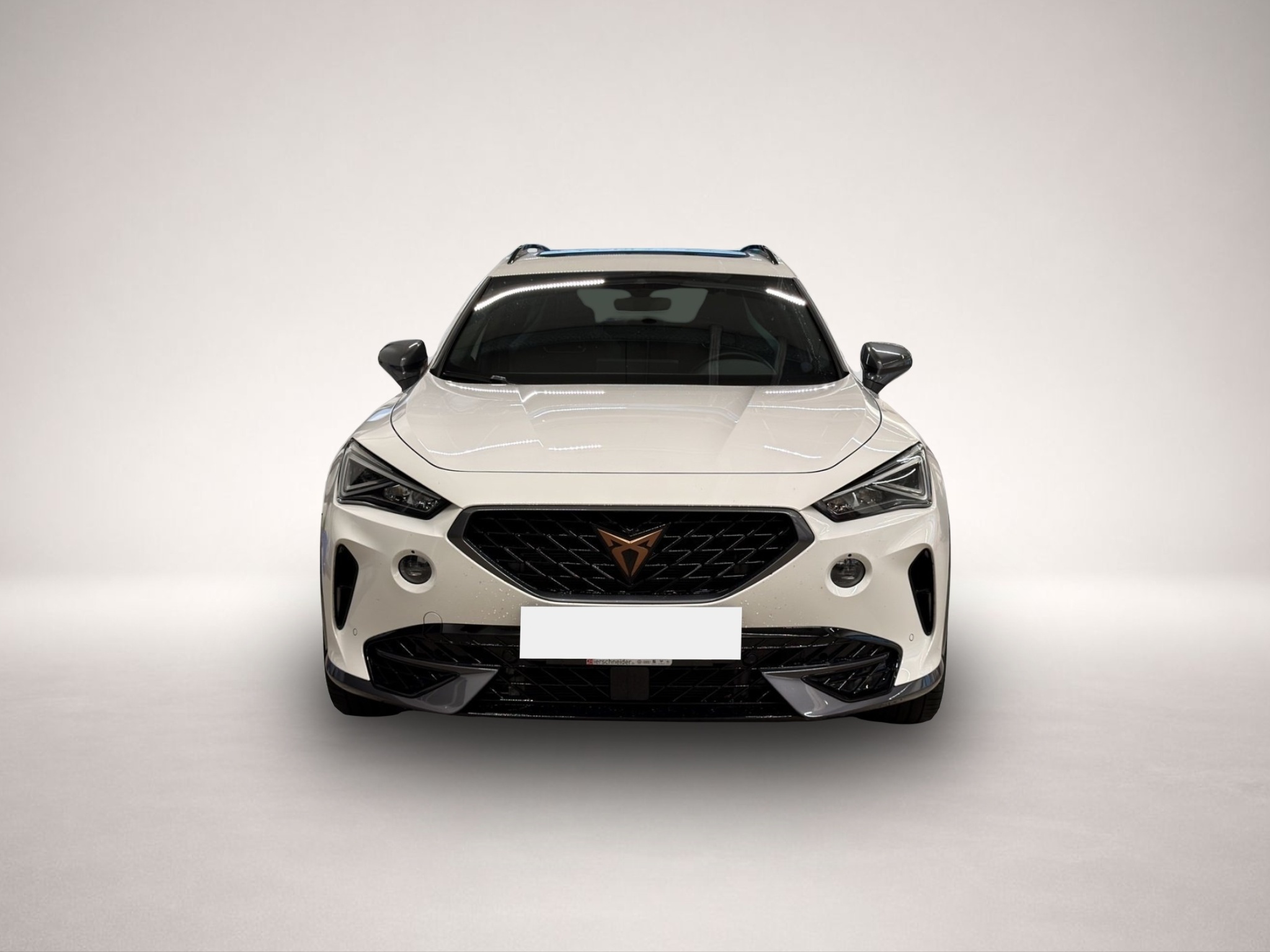 Fotografie 2 des Cupra Formentor 2.0 TSI DSG 4Drive VZ AKRAPOVIC+LED+NA