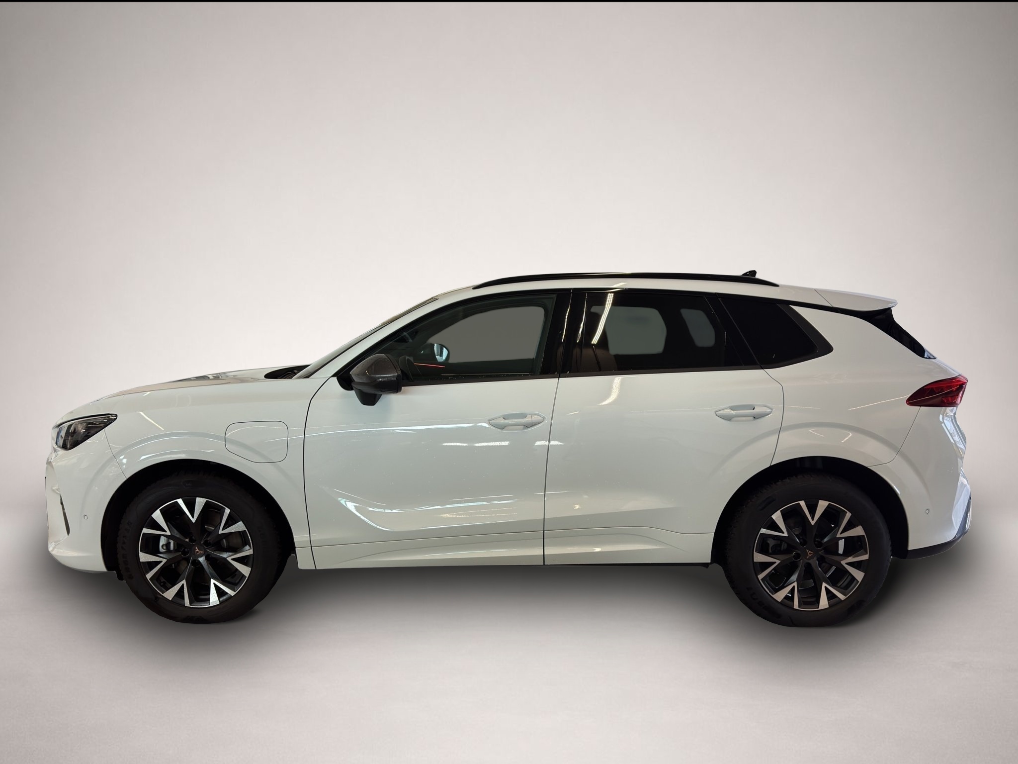 Bild 3 Cupra Terramar 1.5 e-Hybrid DSG LED NAVI ACC SIDEASS P