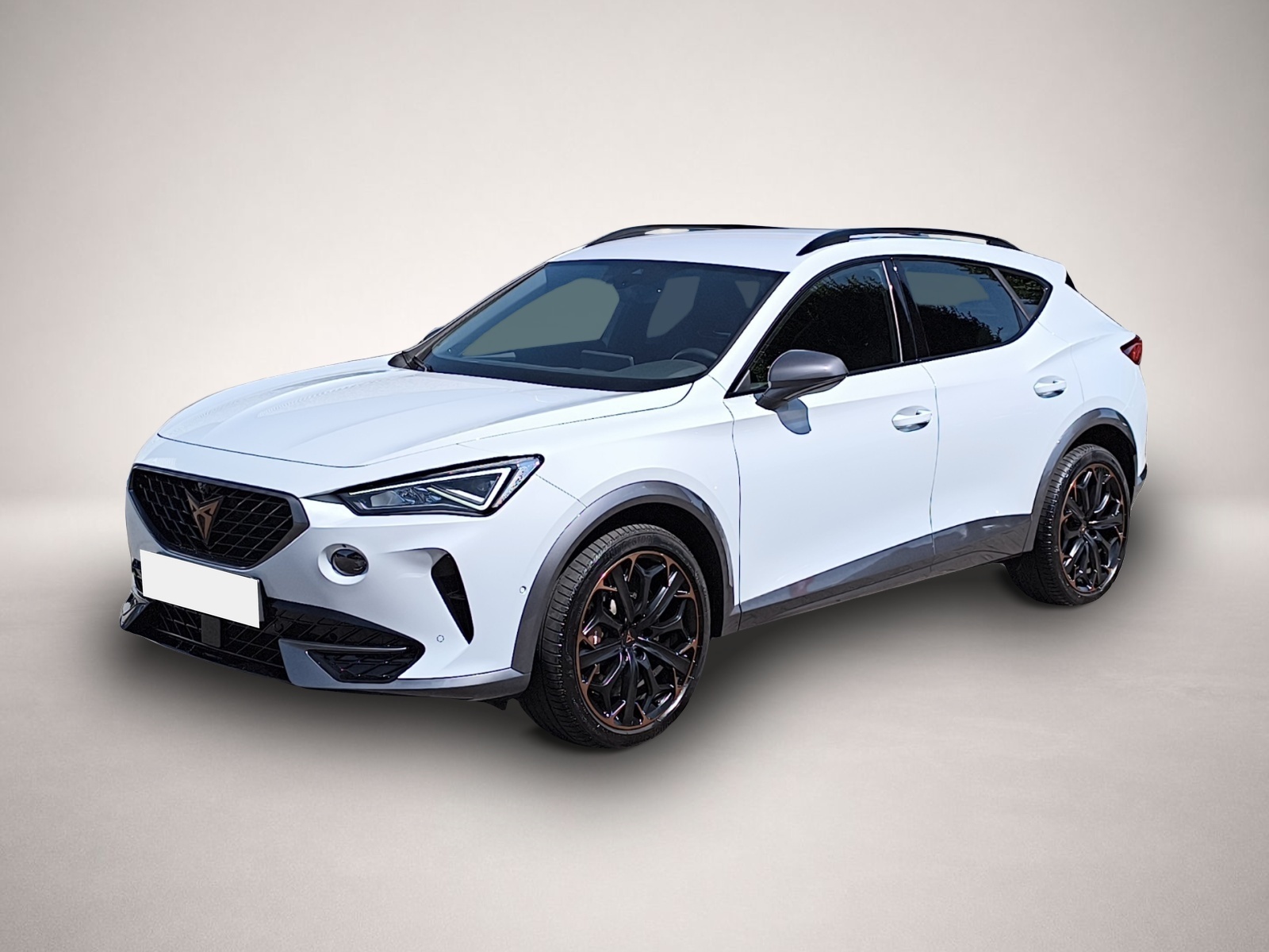 Fotografie Cupra Formentor 2.0 TSI DSG 4Drive VZ LED NAVI AHK ACC