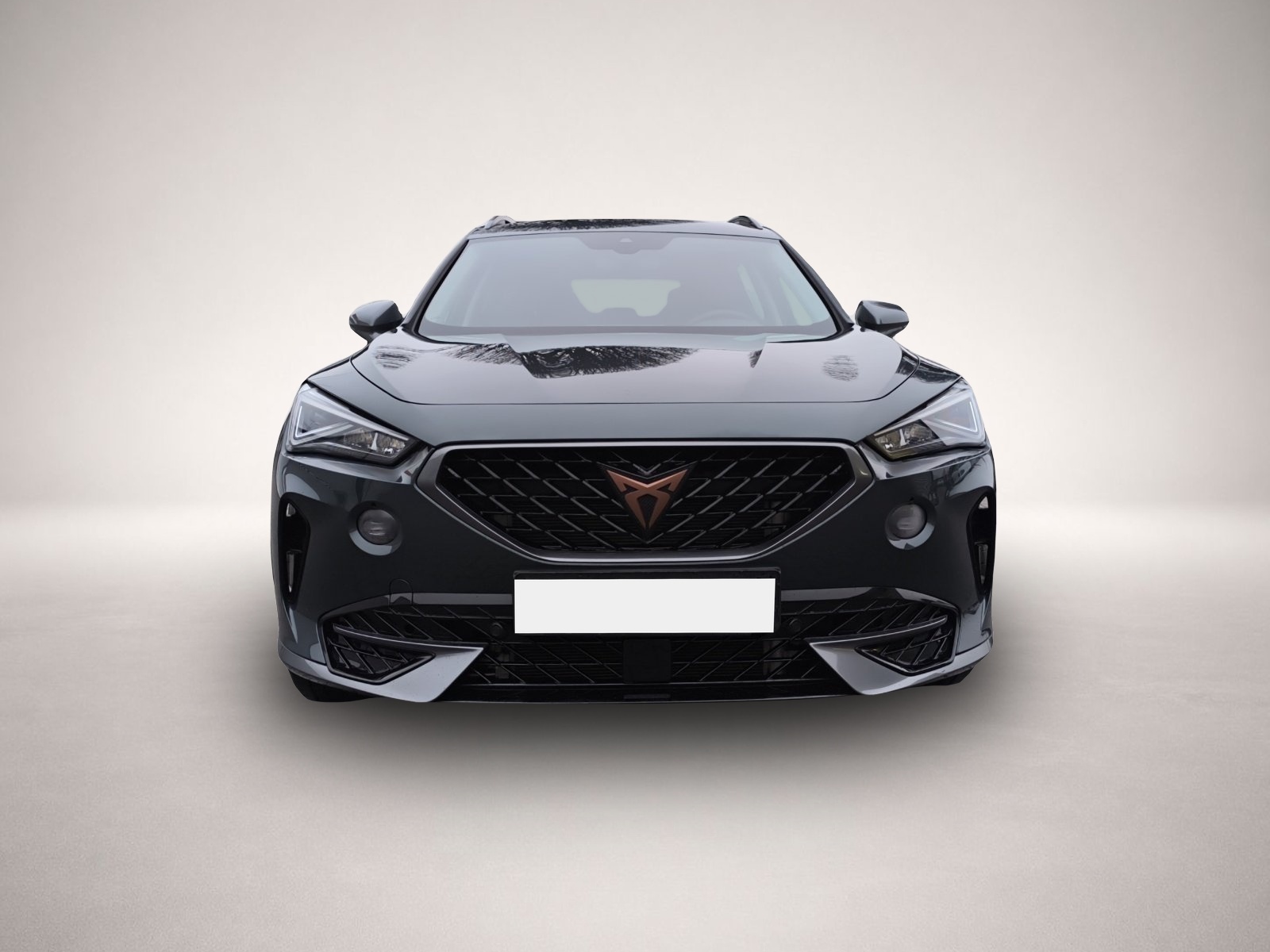 Bild 2 Cupra Formentor 1.4 DSG eHybrid LED PARK ASSIST SHZ