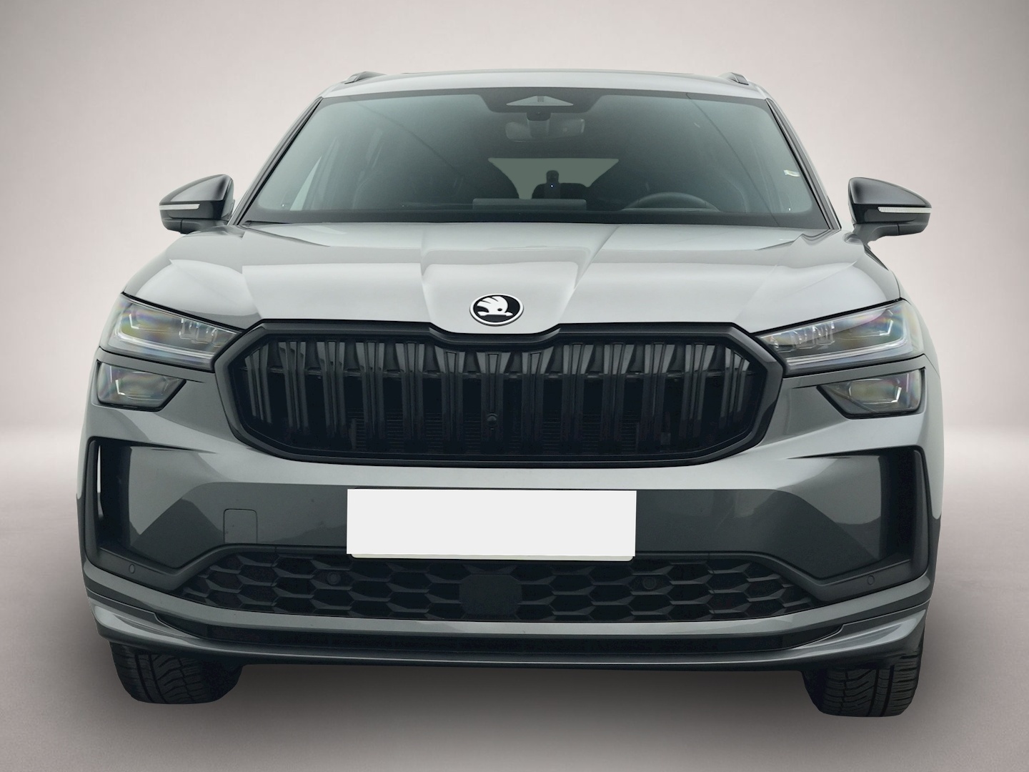 Bild 8 Skoda Kodiaq 2.0 TDI DSG 4x4 Sportline MATRIX NAVI AHK