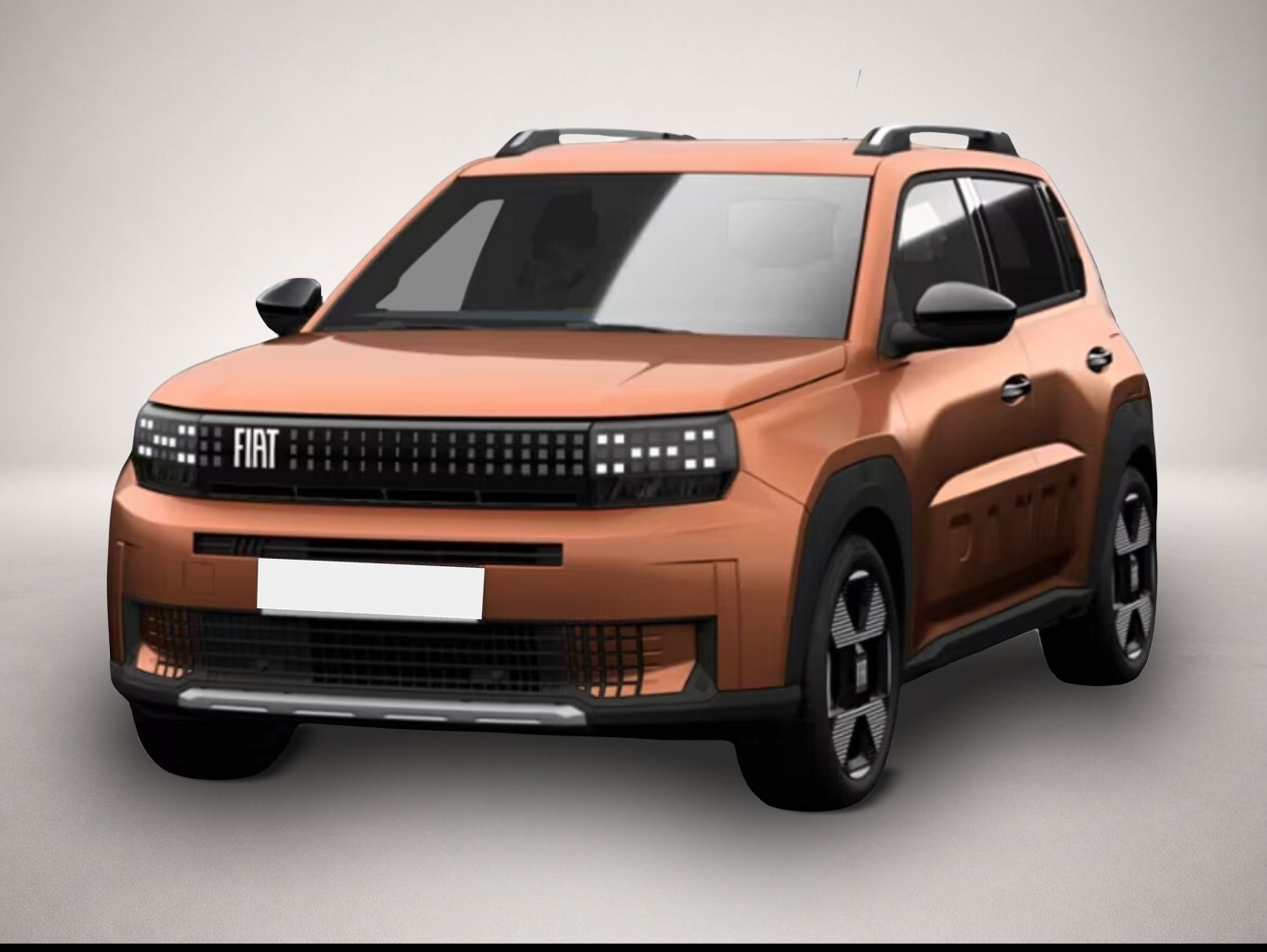 Bild Grande Panda Fiat