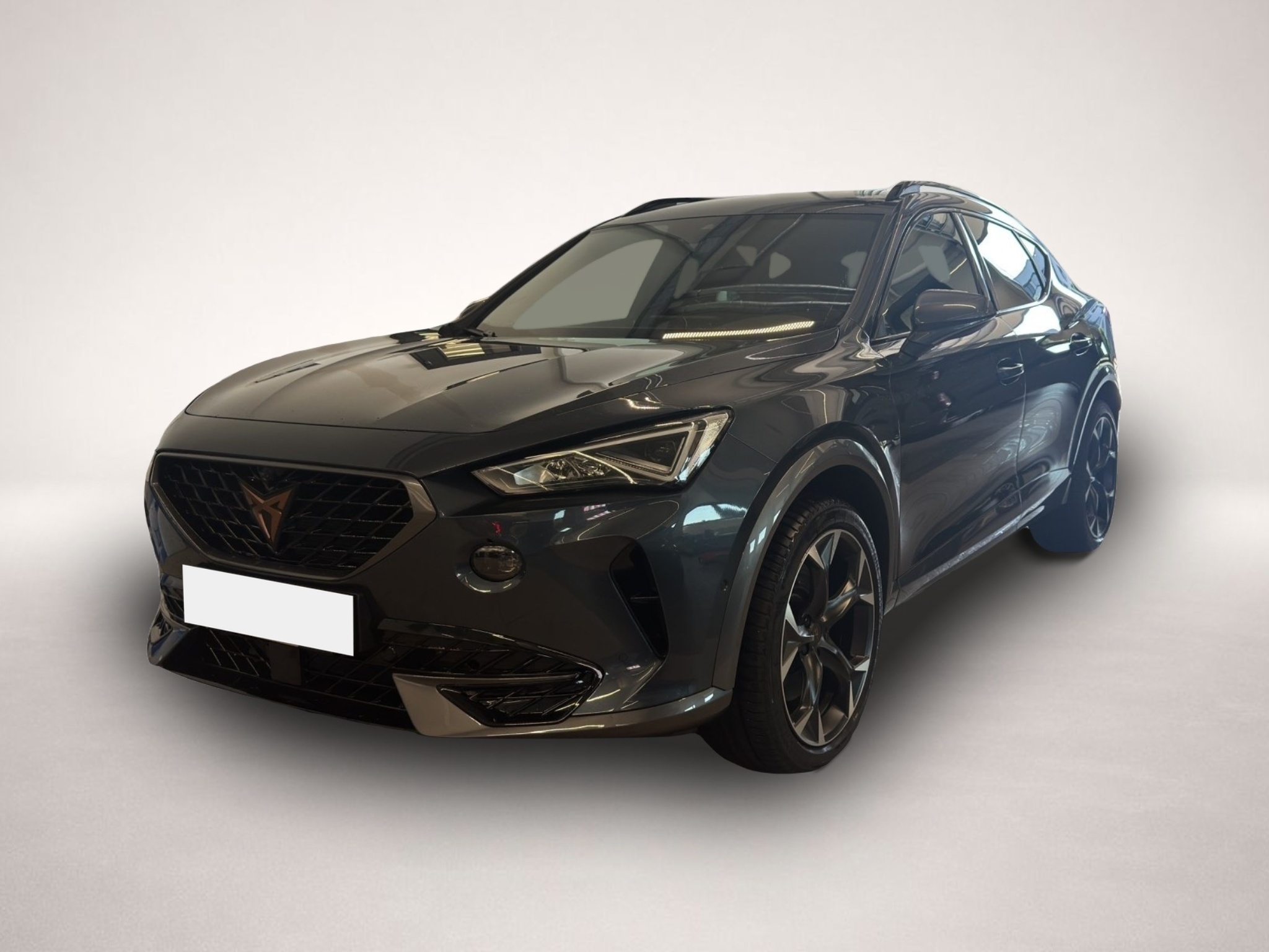 Bild 1 Cupra Formentor 2.0 TSI DSG 4Drive VZ LED NAVI ACC SID