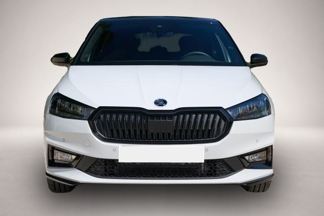 Bild 3 Skoda Fabia 1.0 TSI 85KW Monte Carlo