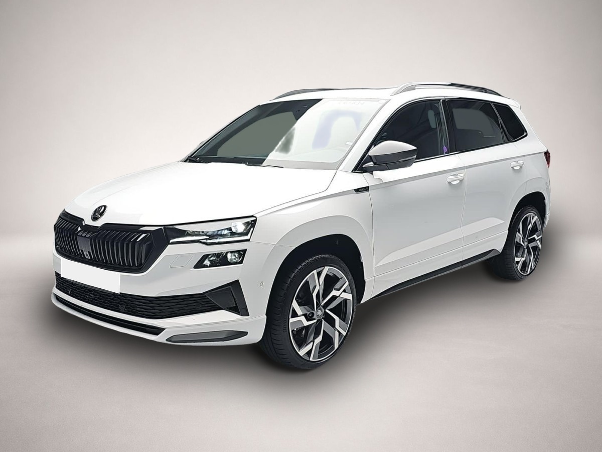 Bild Karoq Skoda
