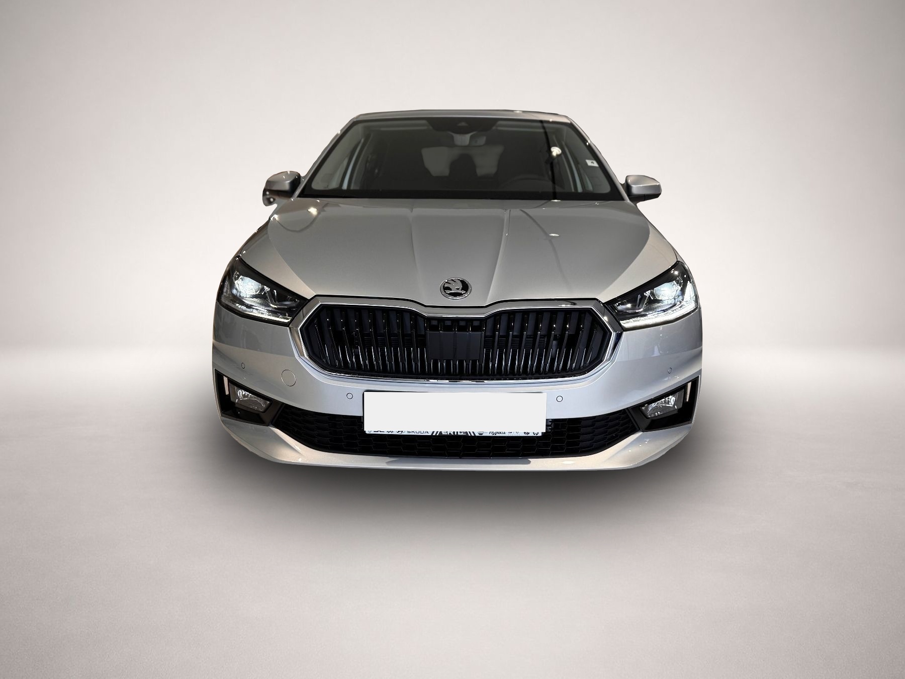 Fotografie 2 des Skoda Fabia Tour