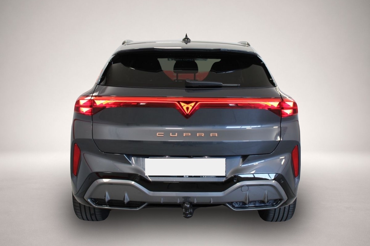 Bild 4 Cupra Terramar 2.0 TSI 7-Gang DSG 4x4