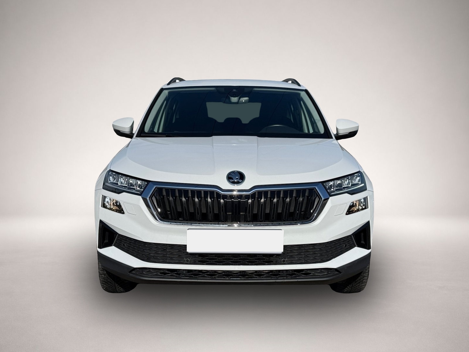 Bild Karoq Skoda