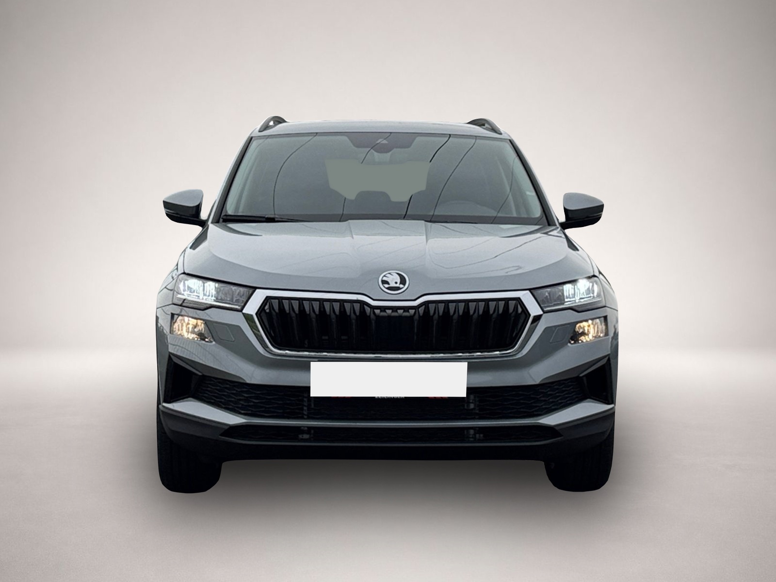 Bild 2 Skoda Karoq Selection TSI DSG|AHK|NAVI|ACC|KESSY|LED