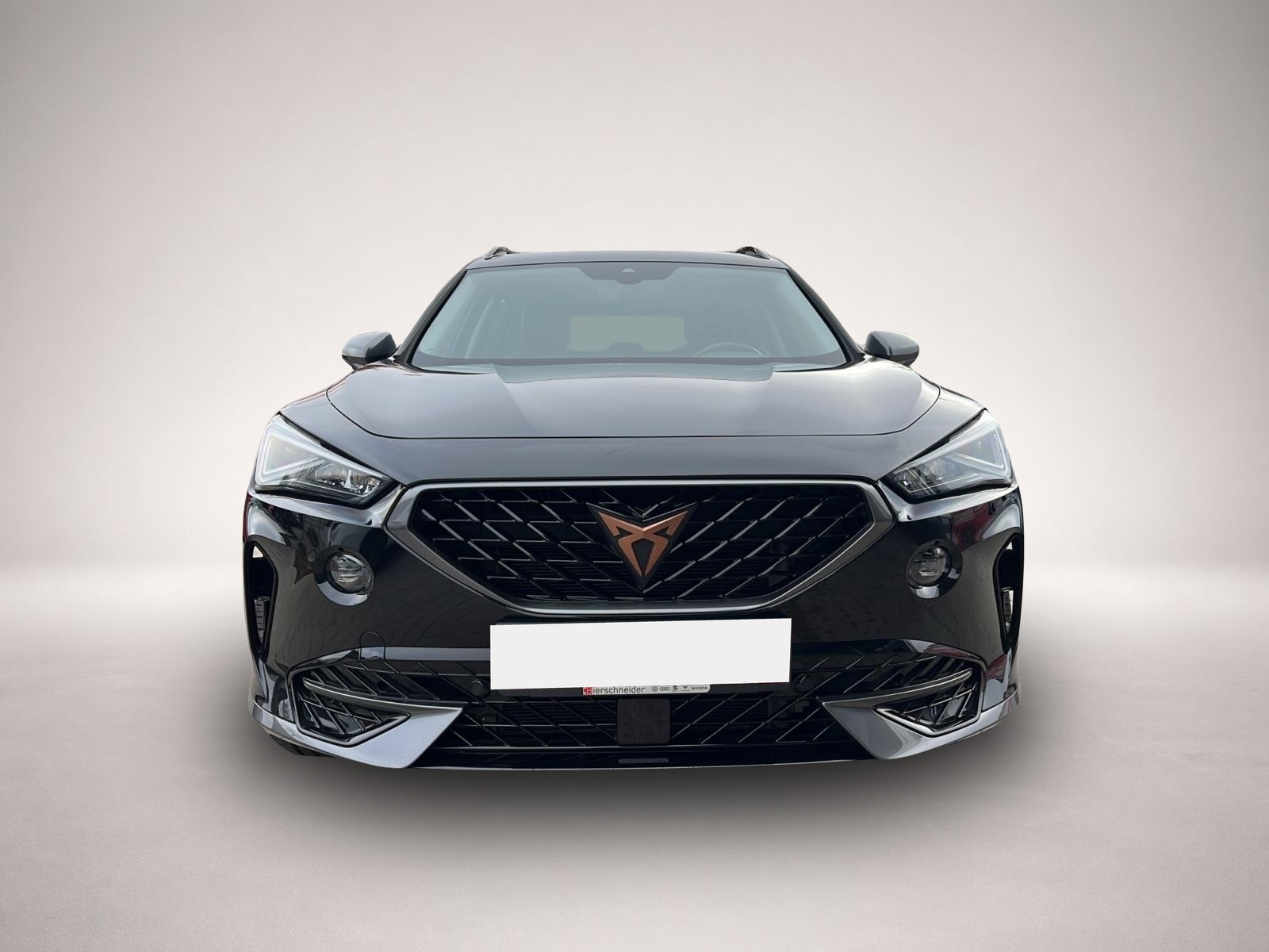 Fotografie 8 des Cupra Formentor 1.5 TSI AHK EL. HECKKLAPPE KAMERA LED