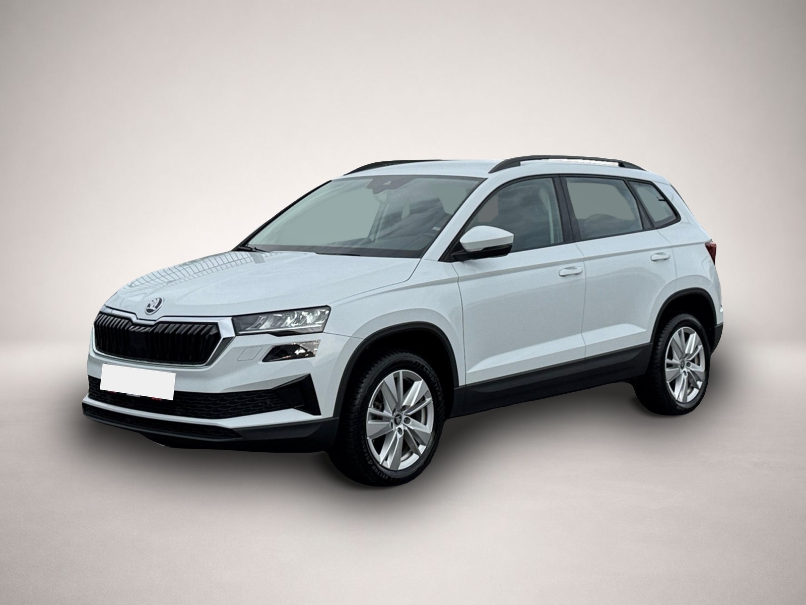 Bild 1 Skoda Karoq Selection TSI DSG|KAMERA|NAVI|WINTER-P