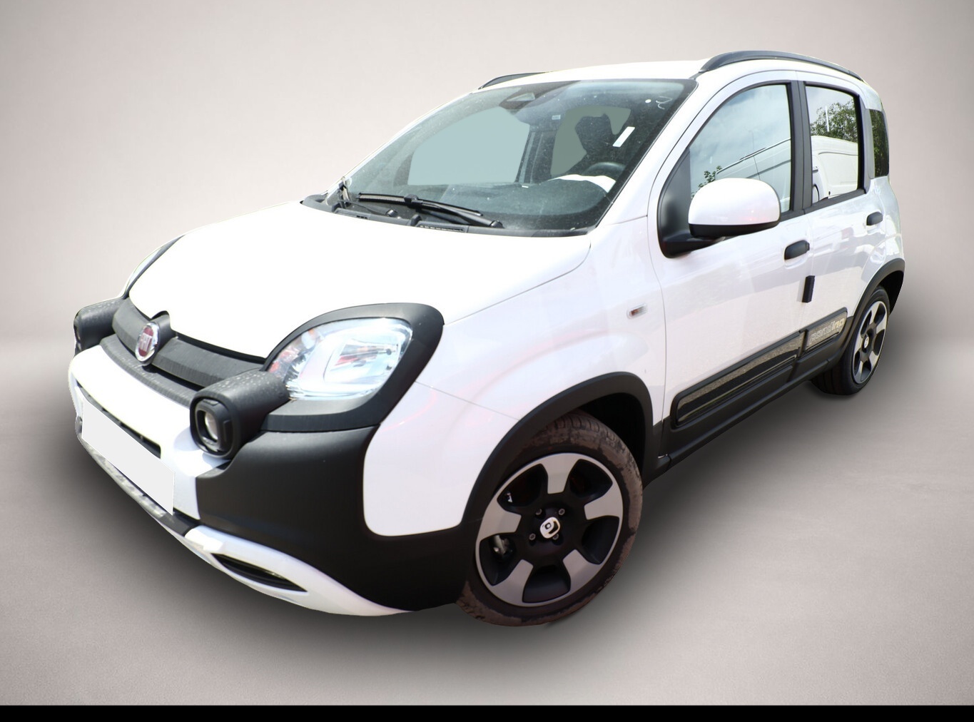 Bild 1 Fiat Panda Cross 5S PDC CarP/AndroidA PrivG 15Z NSW