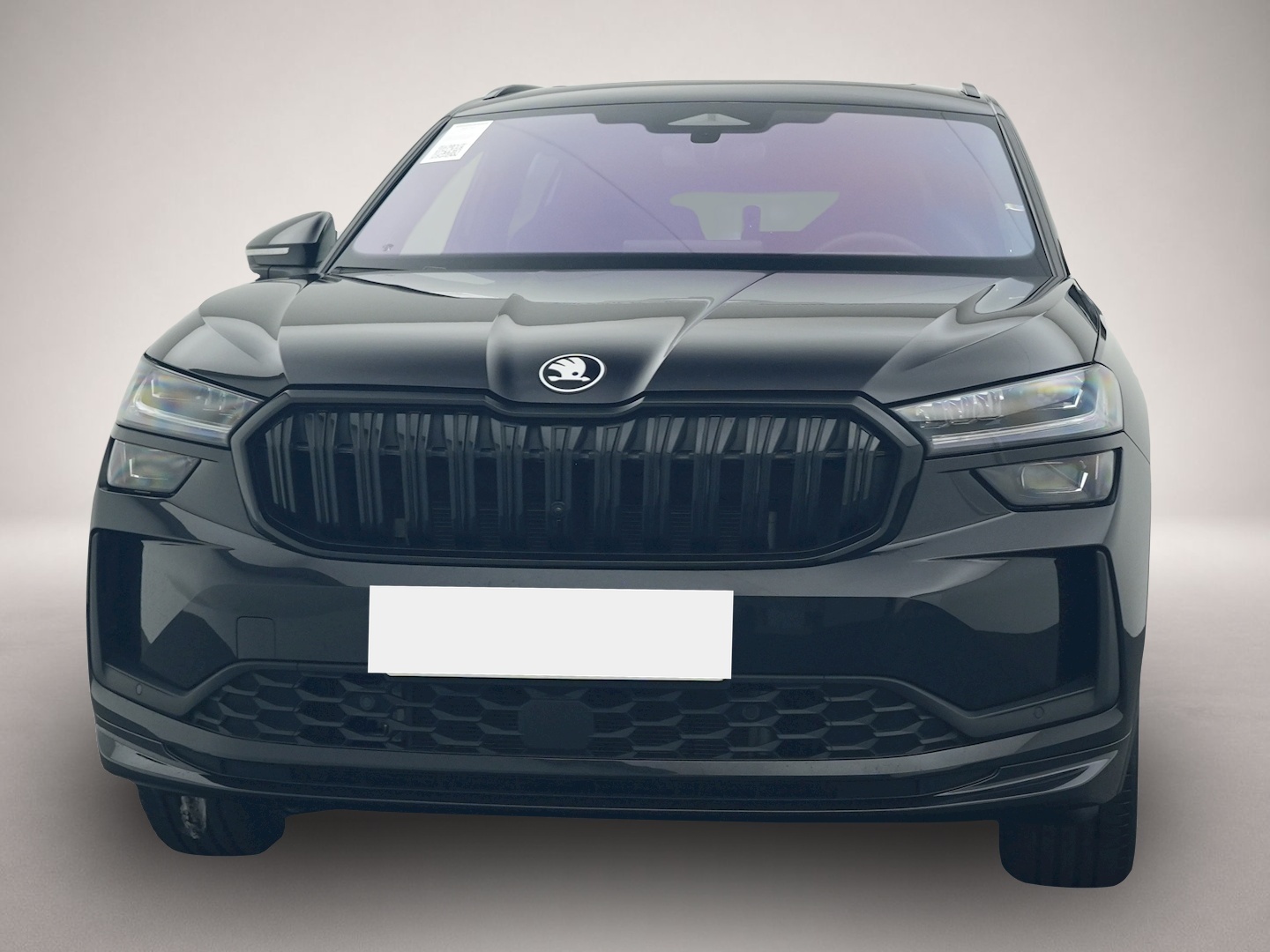 Bild 8 Skoda Kodiaq 1.5 TSI iV DSG Sportline PANO AHK MATRIX
