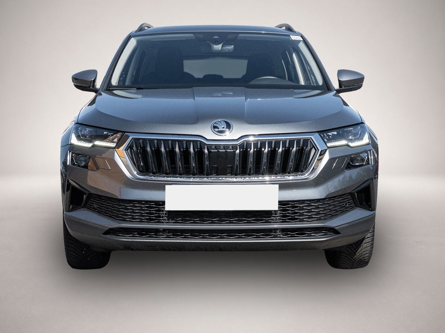 Bild 2 Skoda Karoq 2.0 TDI 4Motion DSG Selection Tour