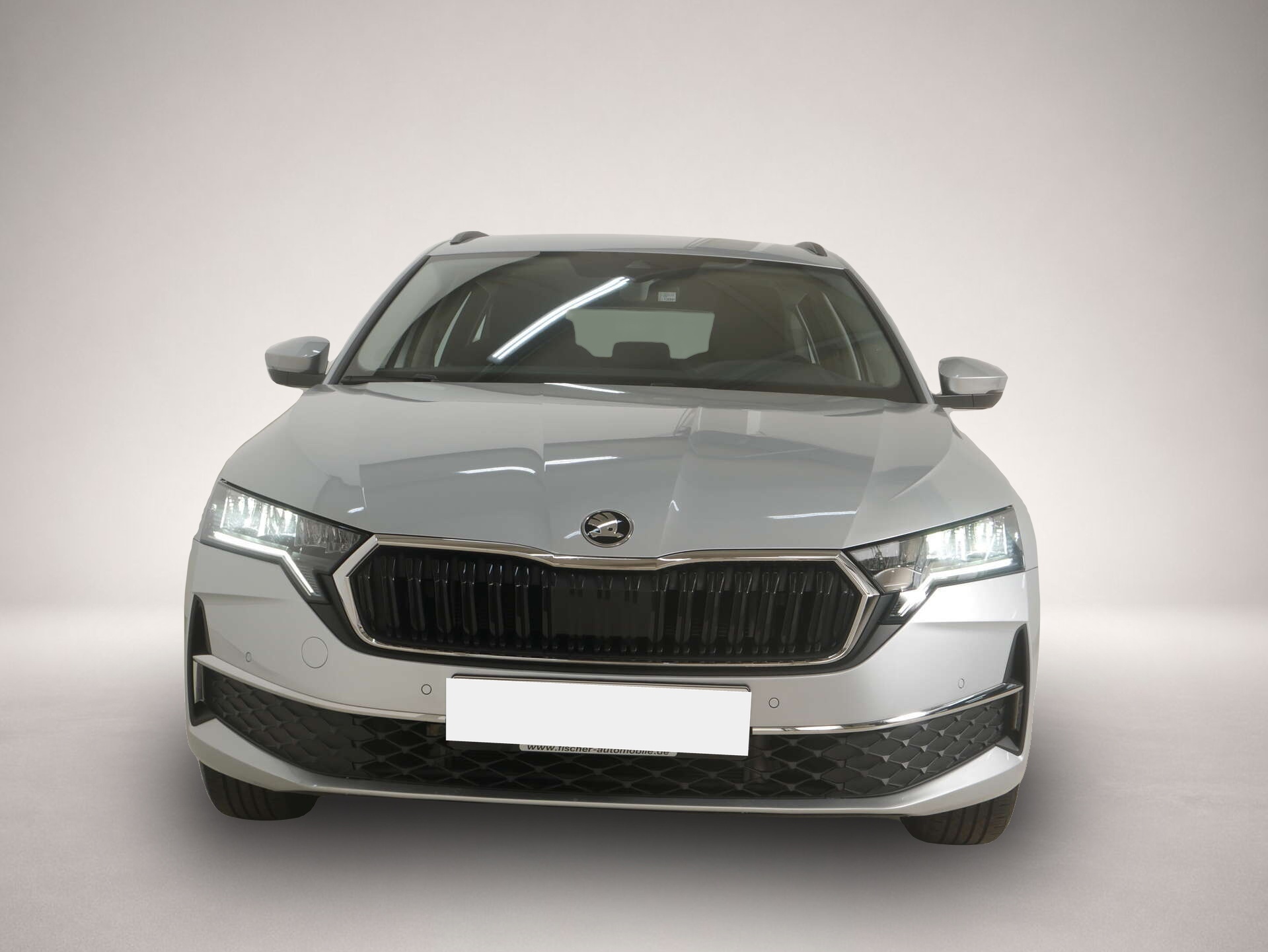 Bild 2 Skoda Octavia Combi 2.0 TDI Selection