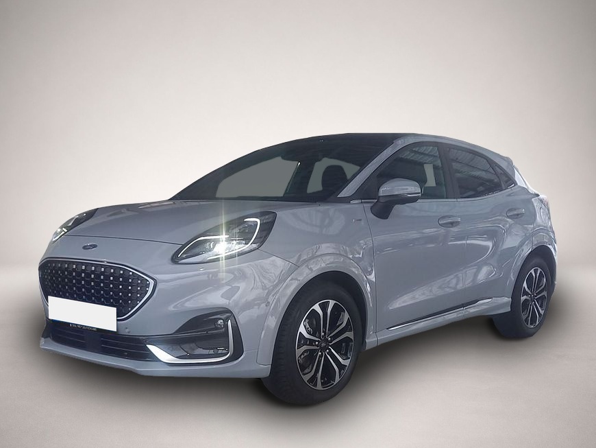 Bild Puma Ford