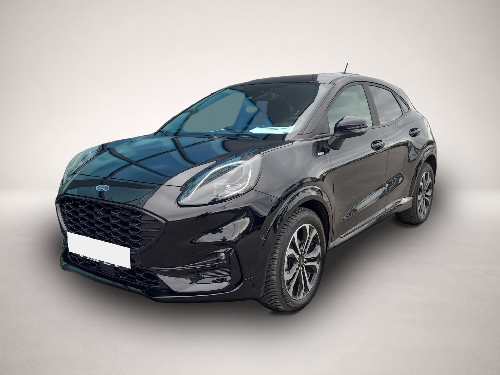 Bild Puma Ford