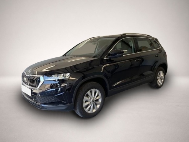 Bild Karoq Skoda