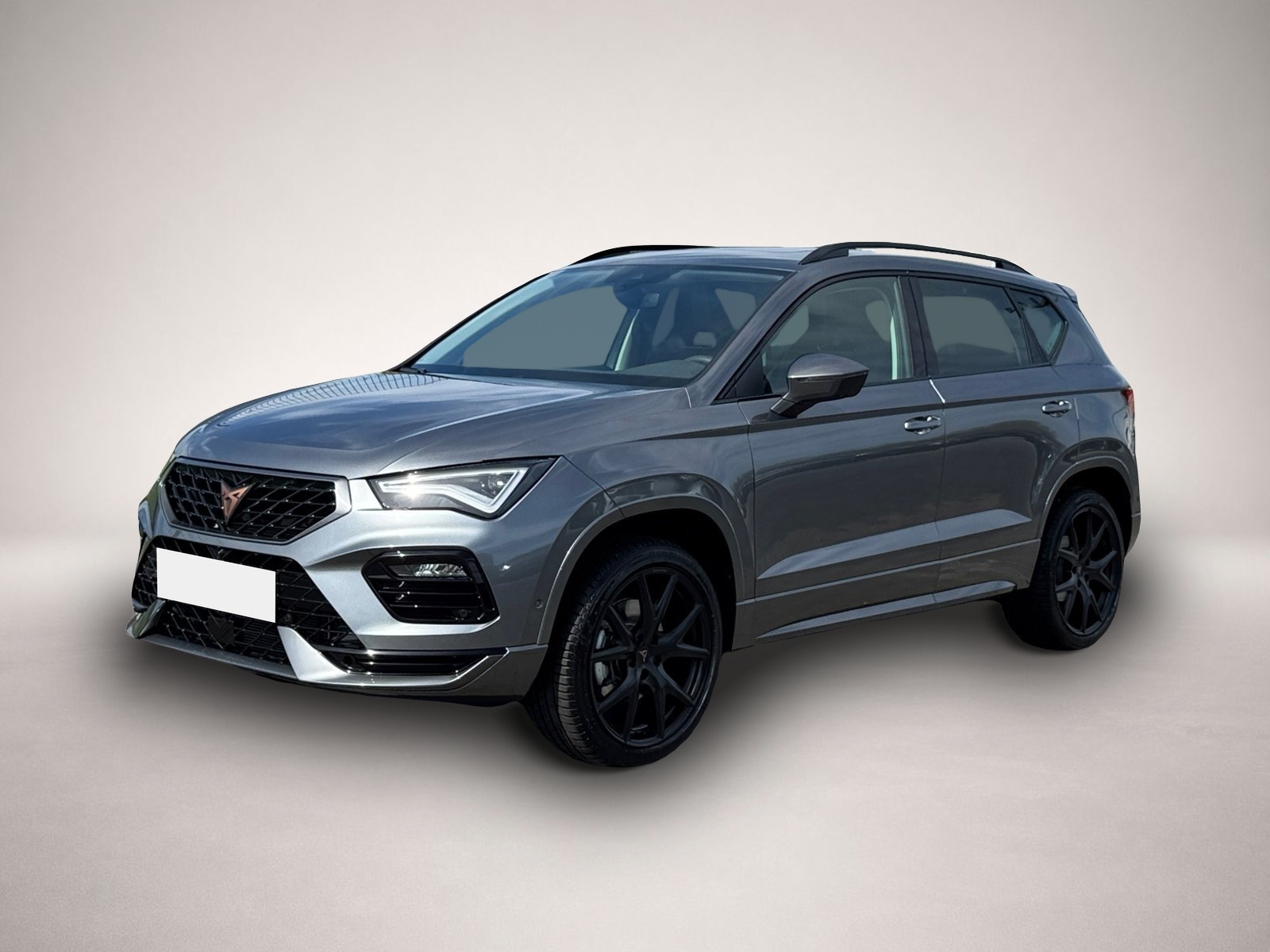 Fotografie Cupra Ateca 4Drive TSI DSG|PANO|AHK|19
