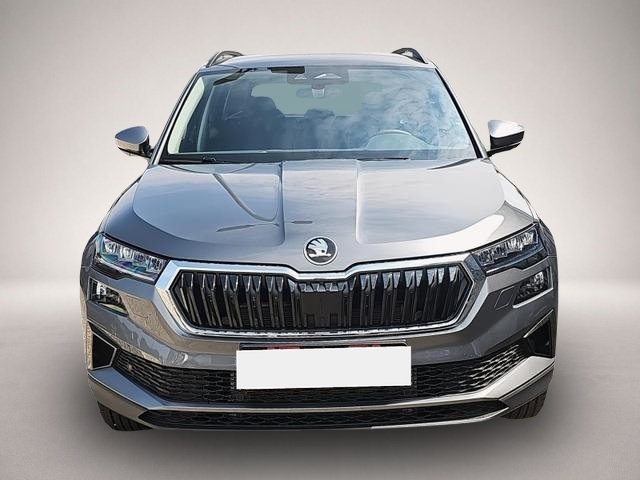 Bild Karoq Skoda