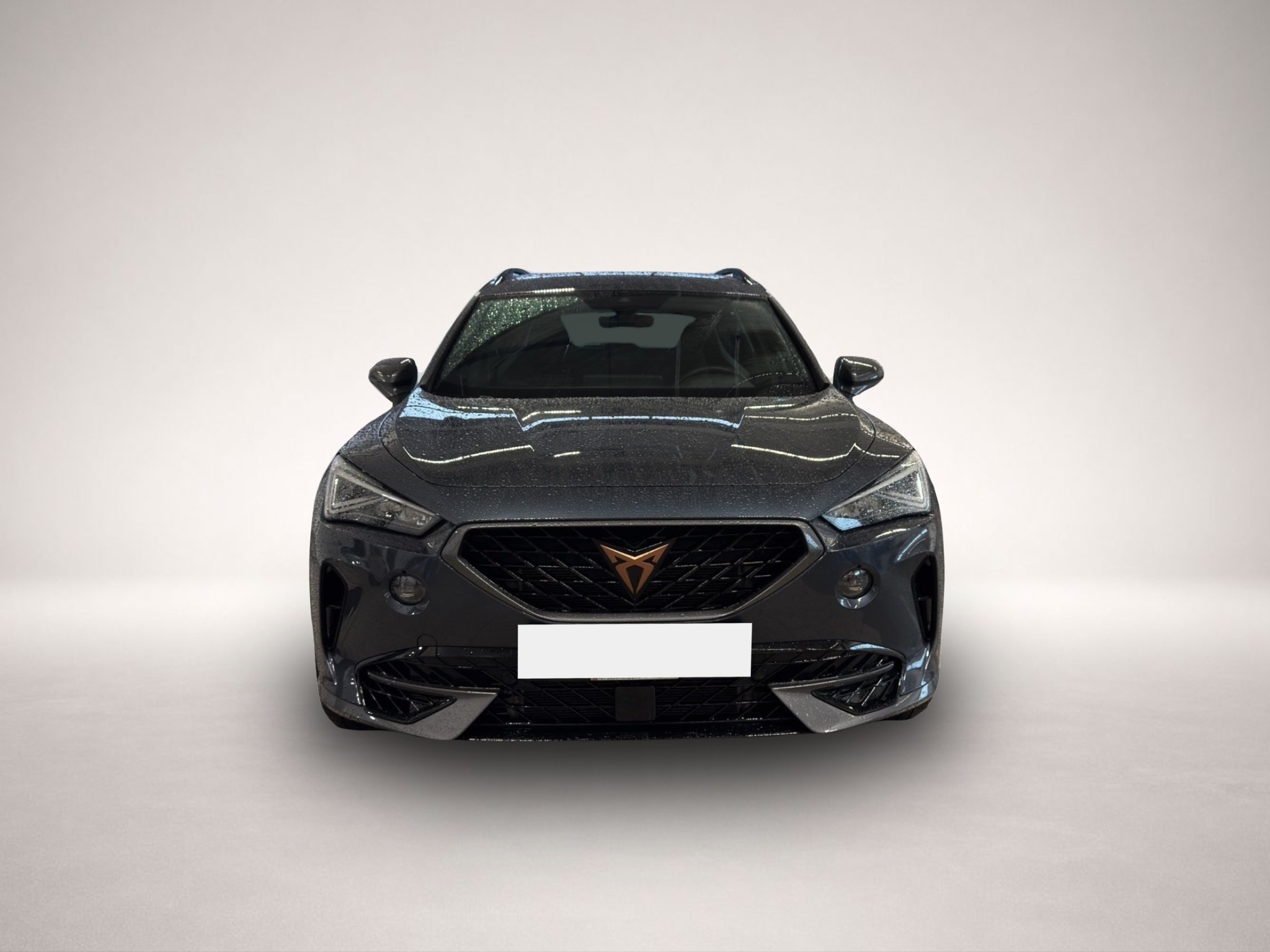 Bild 2 Cupra Formentor 2.0 TSI DSG 4Drive VZ Kamera+ACC+Navi+