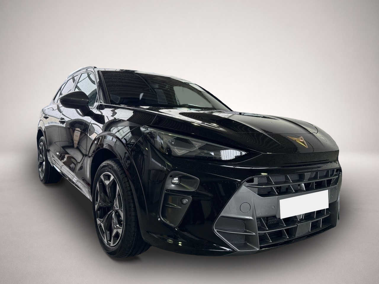 Bild 2 Cupra Terramar VZ 4x4 DSG AHK LED ohne-Zulassung 37%