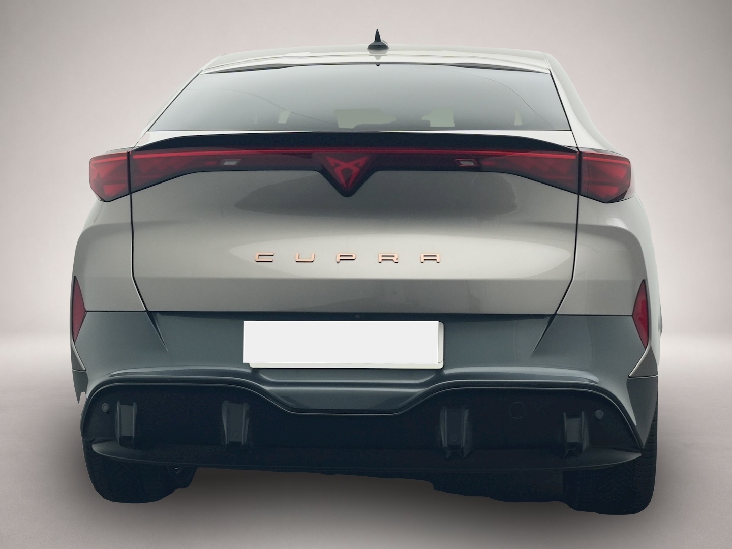 Bild 4 Cupra Tavascan Endurance ALCANTARA WÄPU 360 NAVI
