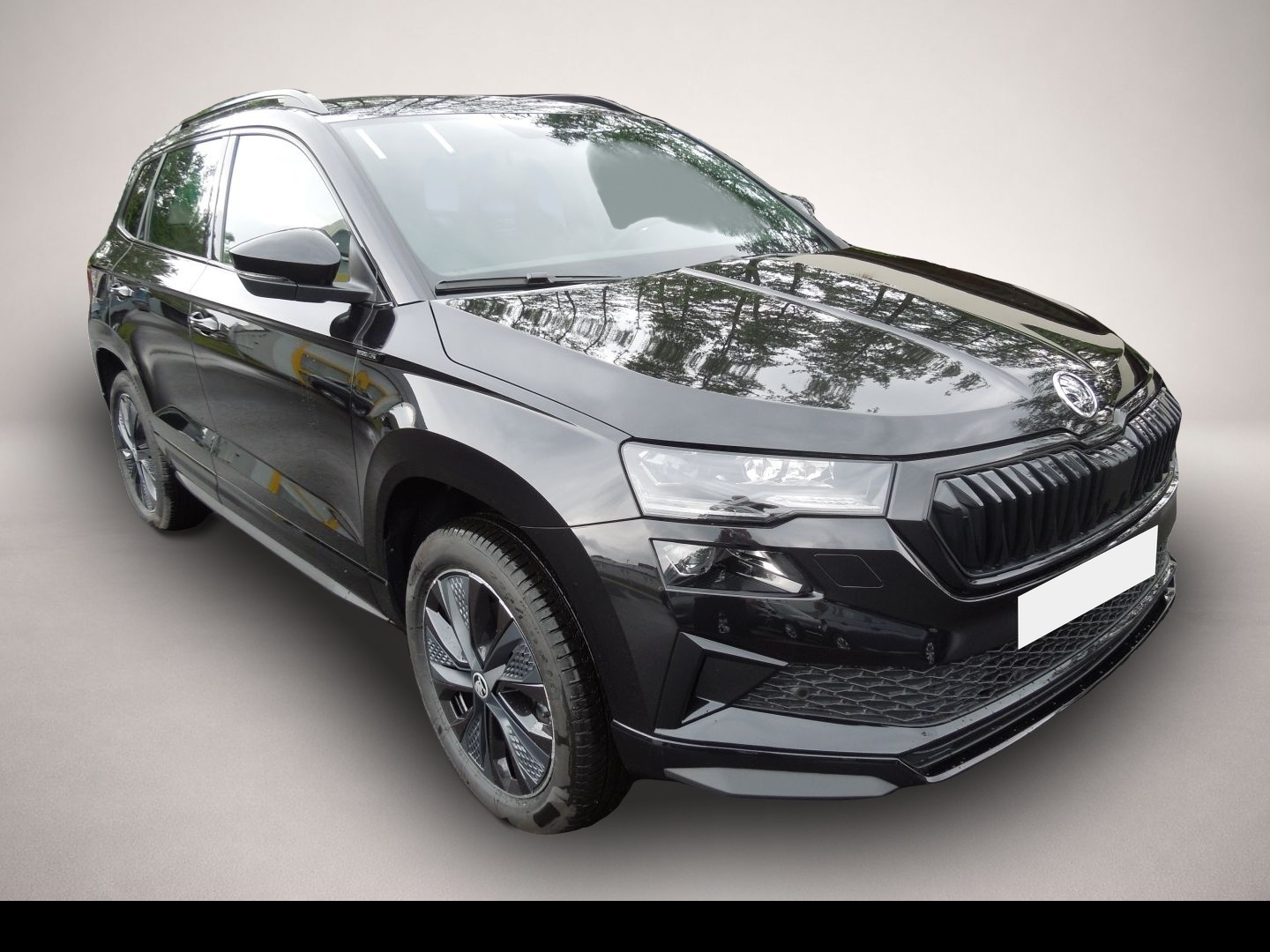 Bild 1 Skoda Karoq 2.0TSI DSG 4x4 Sportline/Matrix/AHK/Navi/K