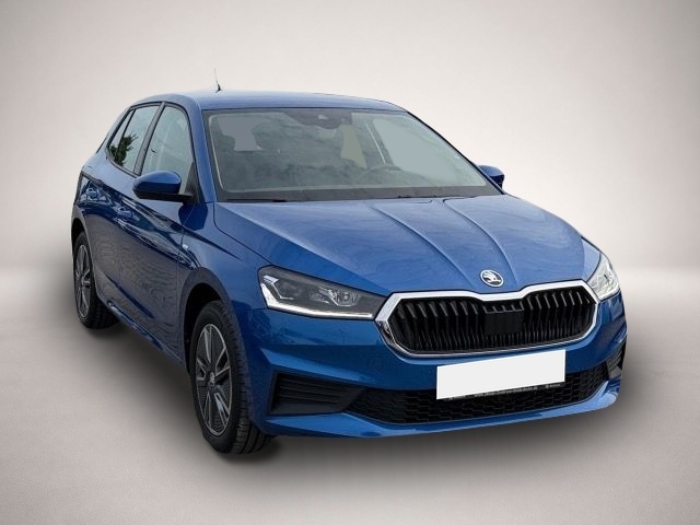 Bild 7 Skoda Fabia 1.0 TSI Tour SHZ.,PDC v+h,LM16