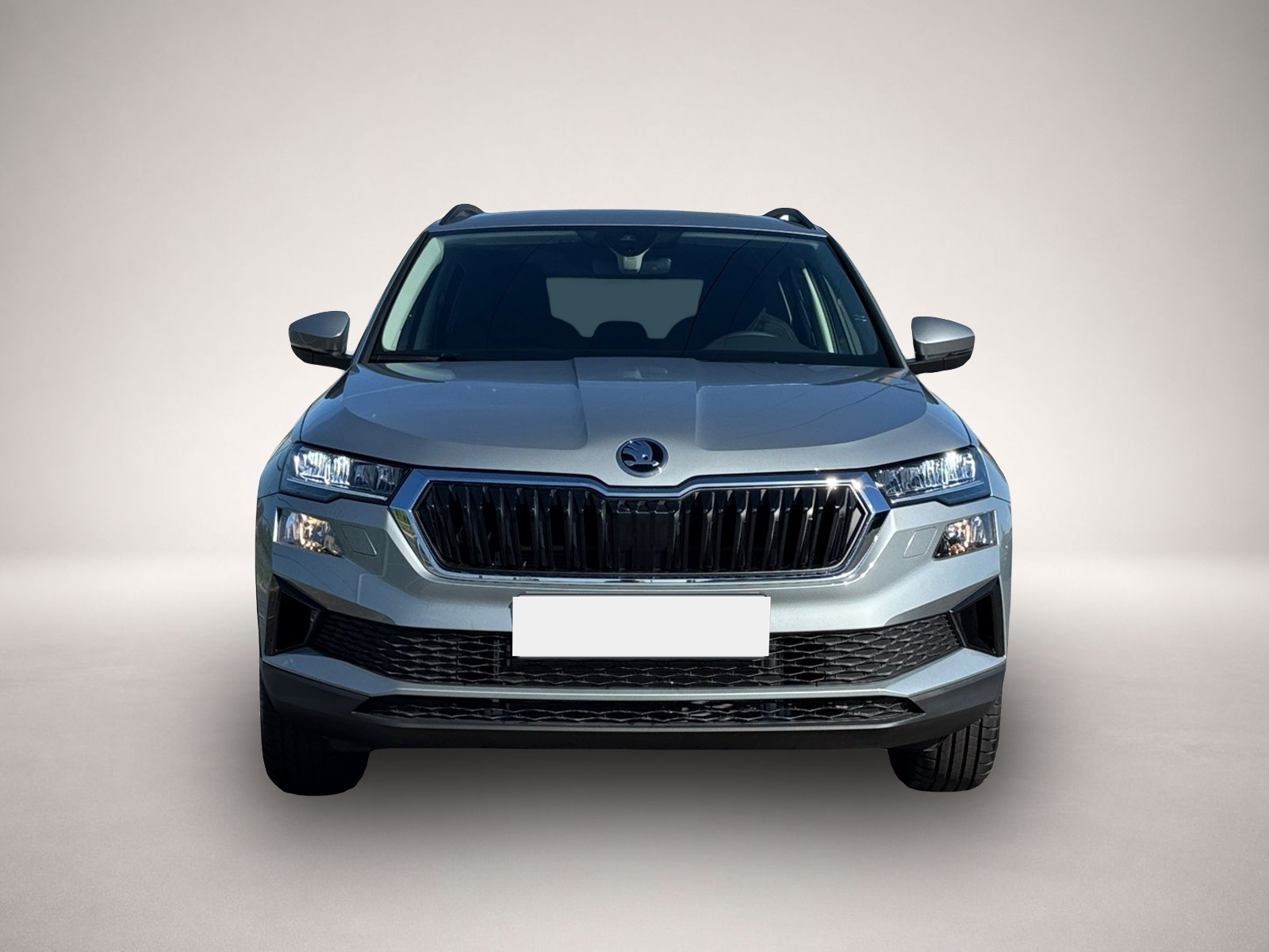 Bild 2 Skoda Karoq Selection TSI DSG|SHZ|PDC|SMARTLINK|TEMP