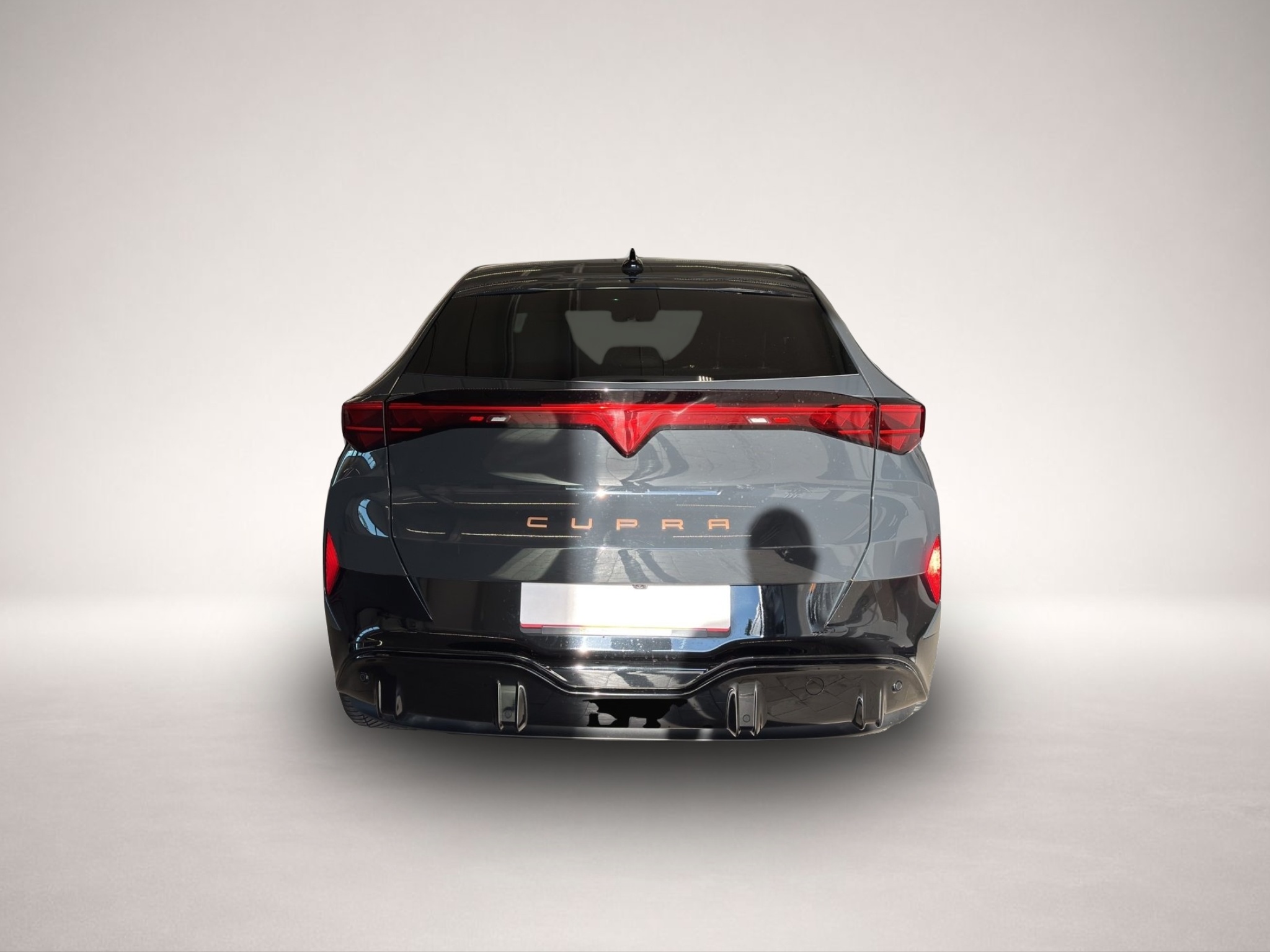 Bild 5 Cupra Tavascan Endurance LED NAVI WÄRNEPUMPE ACC SIDEA