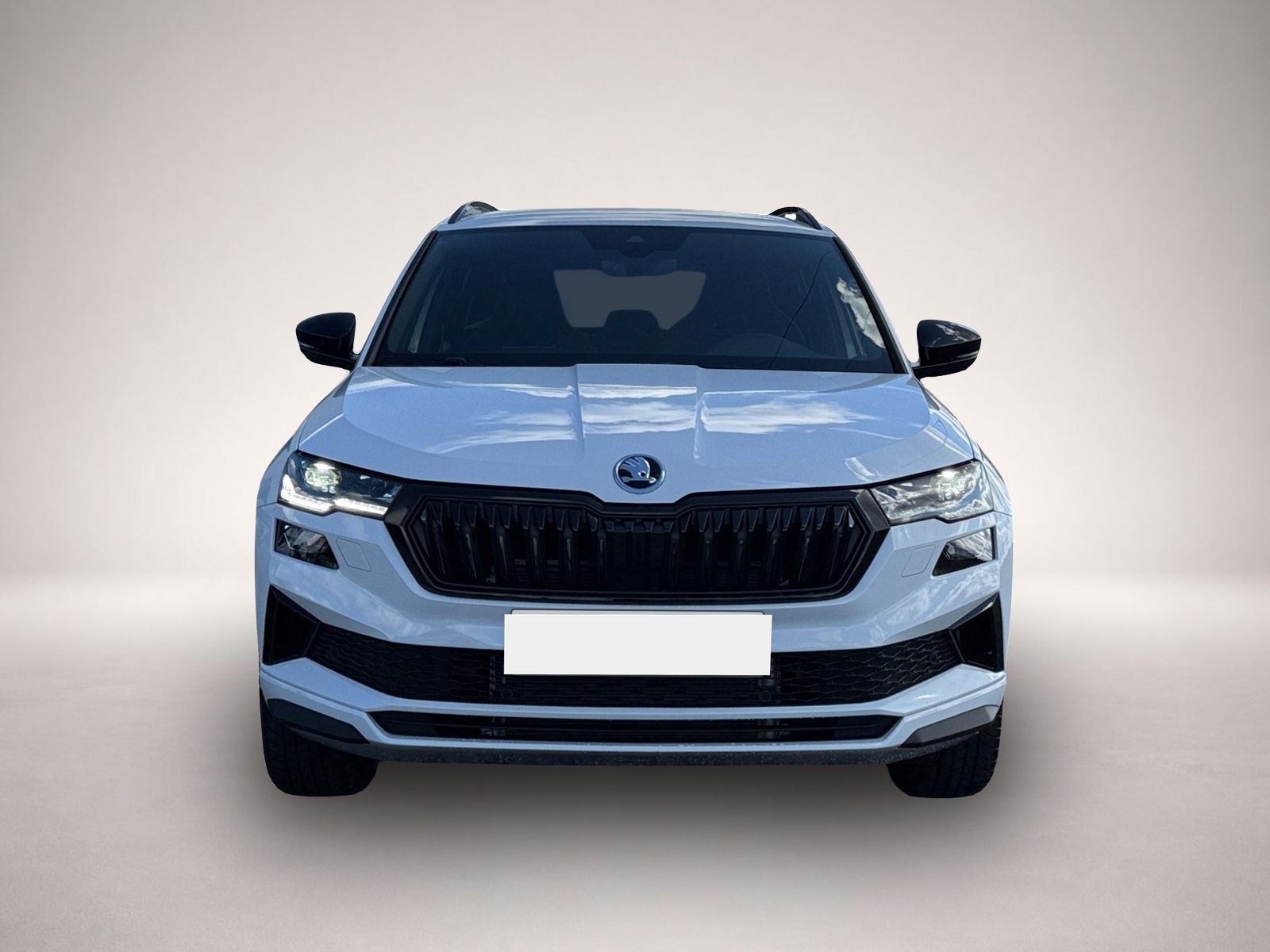 Bild Karoq Skoda