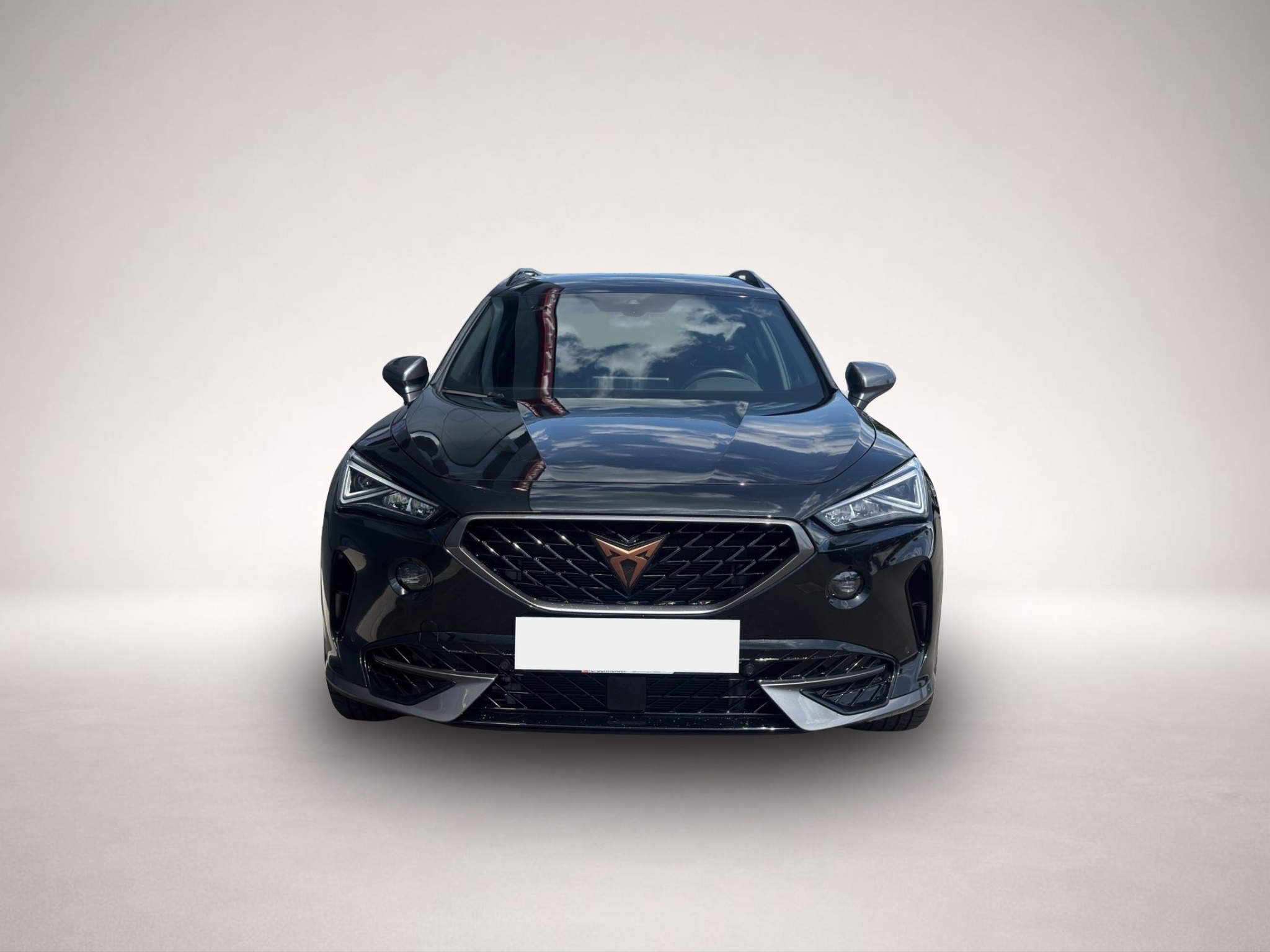 Bild 2 Cupra Formentor 2.0 TSI DSG 4Drive VZ LED NAVI ACC SID