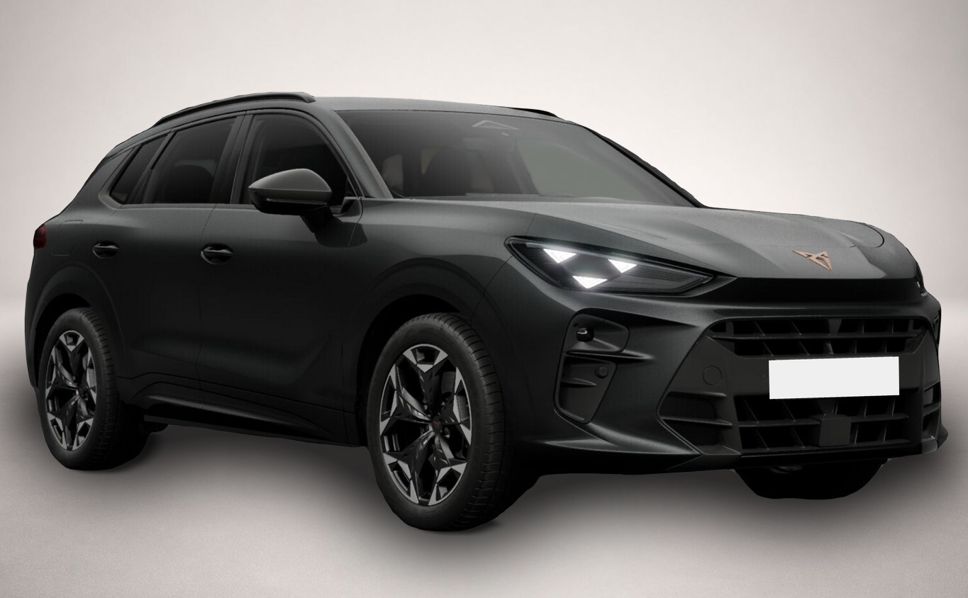 Bild 2 Cupra Terramar VZ 4D eHk Kam SHZ ACC 3ZClim 19