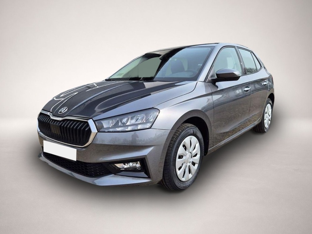 Bild Fabia Skoda