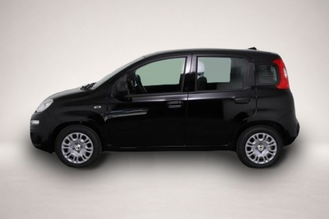 Bild 3 Fiat Panda Pandina Icon Panda (Pandina Icon) 1.0 Mild-Hybr.