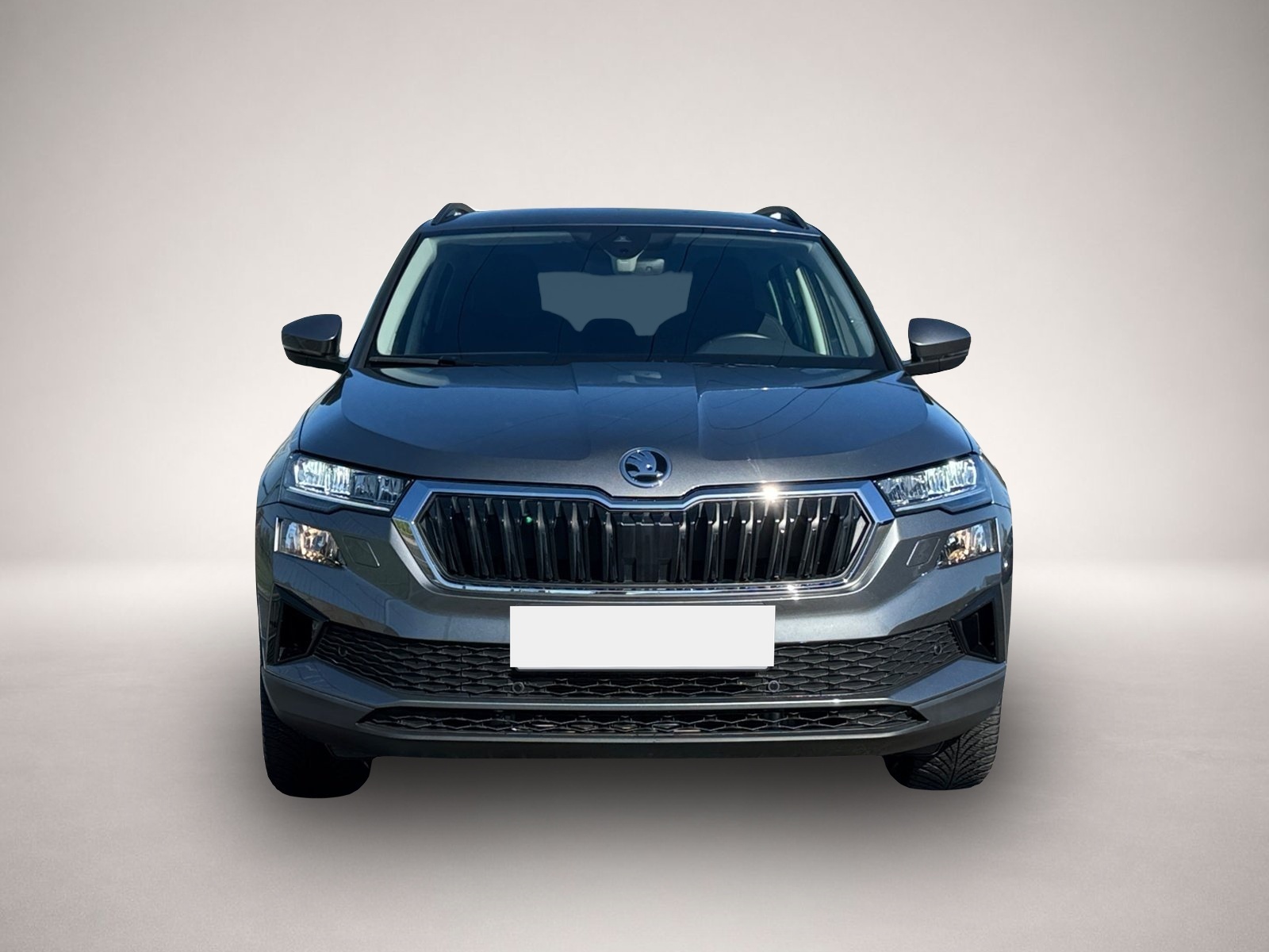 Bild 2 Skoda Karoq Selection TDI|NAVI|KAMERA|ACC|SMARTLINK
